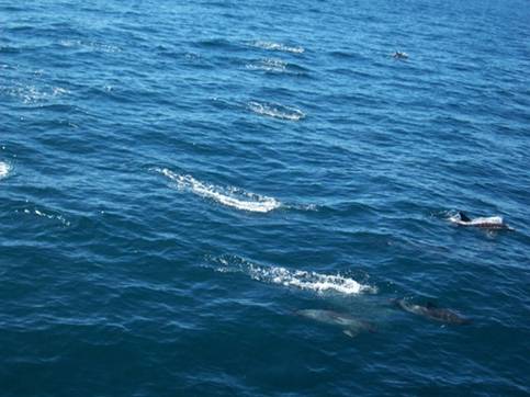 C:\Documents and Settings\Genie\My Documents\My Pictures\north island\north island 073.jpg