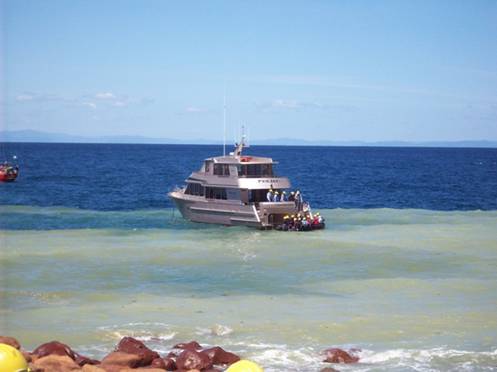 C:\Documents and Settings\Genie\My Documents\My Pictures\north island\north island 078.jpg