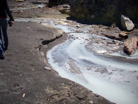 C:\Documents and Settings\Genie\My Documents\My Pictures\north island\north island 082.jpg