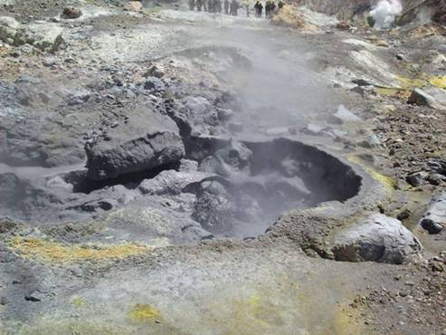 C:\Documents and Settings\Genie\My Documents\My Pictures\north island\north island 087.jpg