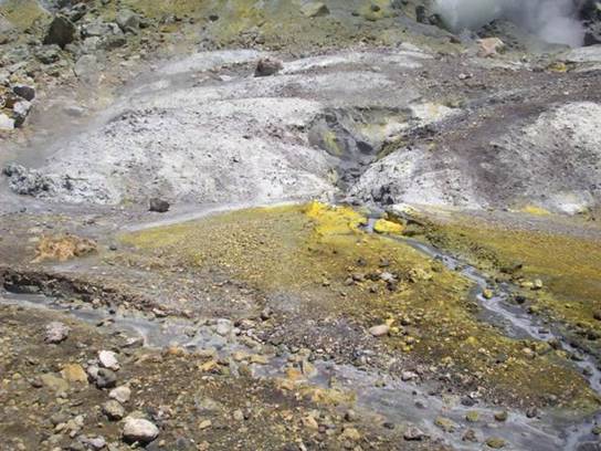 C:\Documents and Settings\Genie\My Documents\My Pictures\north island\north island 090.jpg