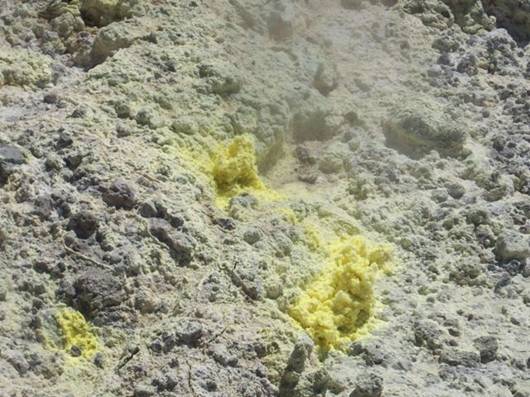 C:\Documents and Settings\Genie\My Documents\My Pictures\north island\north island 092.jpg