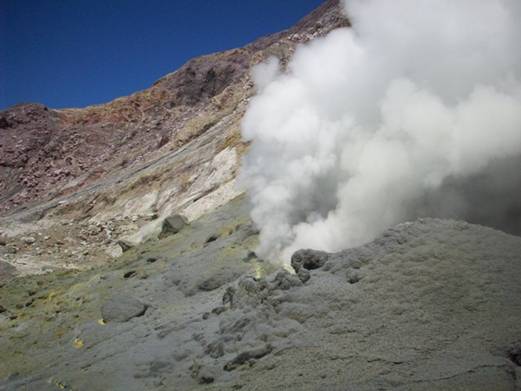 C:\Documents and Settings\Genie\My Documents\My Pictures\north island\north island 093.jpg