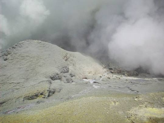 C:\Documents and Settings\Genie\My Documents\My Pictures\north island\north island 095.jpg