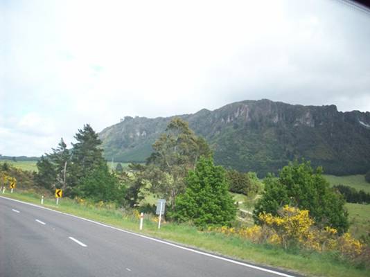 C:\Documents and Settings\Genie\My Documents\My Pictures\north island\north island 167.jpg