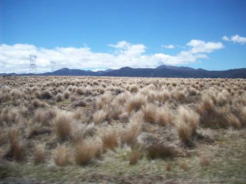 C:\Documents and Settings\Genie\My Documents\My Pictures\north island\north island 179.jpg