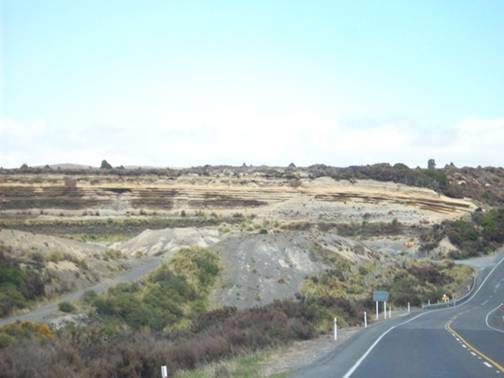 C:\Documents and Settings\Genie\My Documents\My Pictures\north island\north island 181.jpg