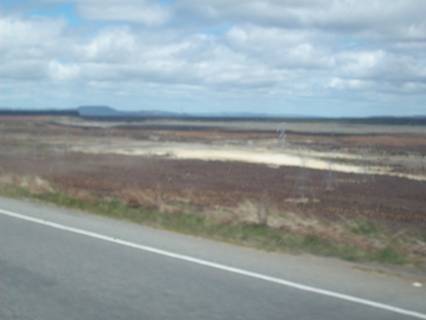 C:\Documents and Settings\Genie\My Documents\My Pictures\north island\north island 190.jpg