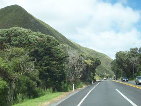 C:\Documents and Settings\Genie\My Documents\My Pictures\north island\north island 197.jpg