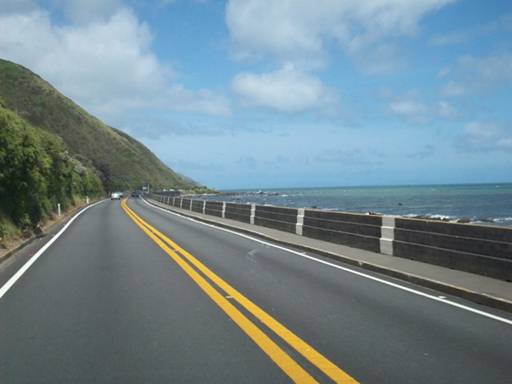 C:\Documents and Settings\Genie\My Documents\My Pictures\north island\north island 198.jpg