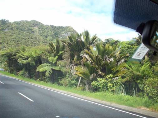 C:\Documents and Settings\Genie\My Documents\My Pictures\south island\south island 061.jpg