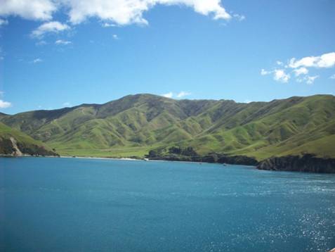 C:\Documents and Settings\Genie\My Documents\My Pictures\south island\south island 040.jpg