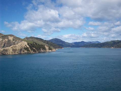 C:\Documents and Settings\Genie\My Documents\My Pictures\south island\south island 038.jpg