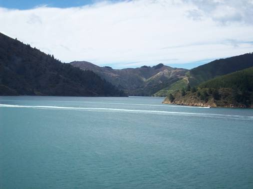 C:\Documents and Settings\Genie\My Documents\My Pictures\south island\south island 047.jpg