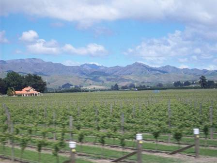 C:\Documents and Settings\Genie\My Documents\My Pictures\south island\south island 048.jpg