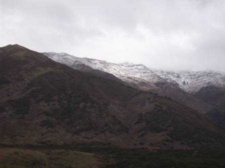 C:\Documents and Settings\Genie\My Documents\My Pictures\south island\south island 049.jpg