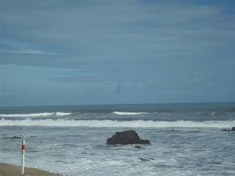 C:\Documents and Settings\Genie\My Documents\My Pictures\south island\south island 056.jpg