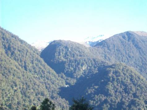 C:\Documents and Settings\Genie\My Documents\My Pictures\south island\south island 095.jpg