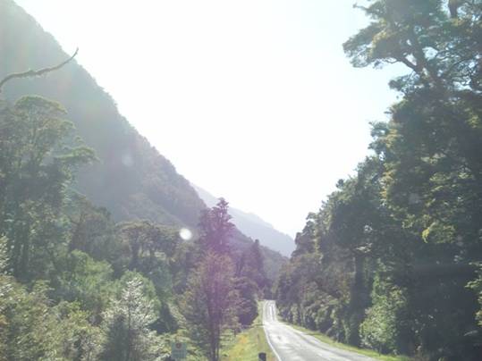 C:\Documents and Settings\Genie\My Documents\My Pictures\south island\south island 096.jpg