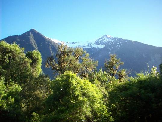 C:\Documents and Settings\Genie\My Documents\My Pictures\south island\south island 098.jpg