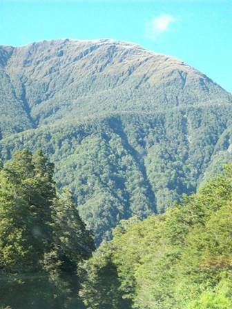 C:\Documents and Settings\Genie\My Documents\My Pictures\south island\south island 104.jpg