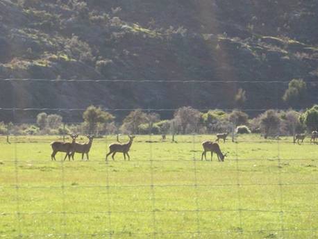 C:\Documents and Settings\Genie\My Documents\My Pictures\south island\south island 122.jpg