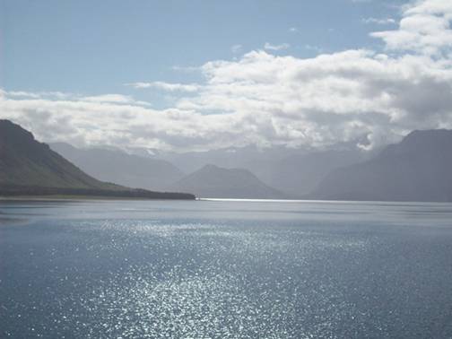 C:\Documents and Settings\Genie\My Documents\My Pictures\south island\south island 142.jpg