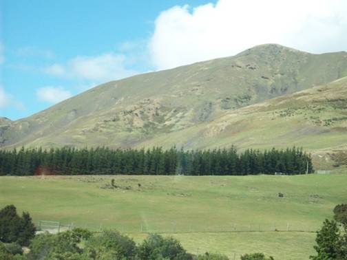 C:\Documents and Settings\Genie\My Documents\My Pictures\south island\south island 146.jpg