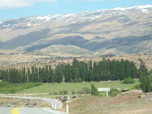 C:\Documents and Settings\Genie\My Documents\My Pictures\south island\south island 157.jpg